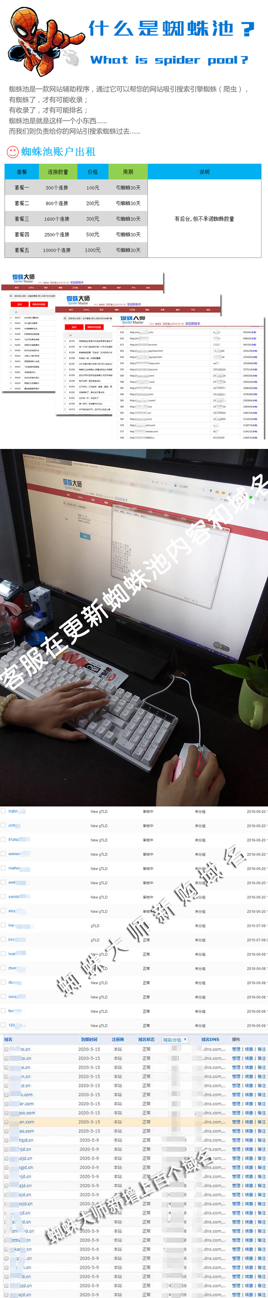 蜘蛛池.jpg